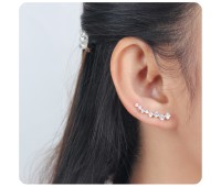 Stunning Designed with CZ Stone Earrings EL-3575 